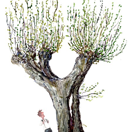 Akvarel af trae, kyststien, piletrae med vandrer