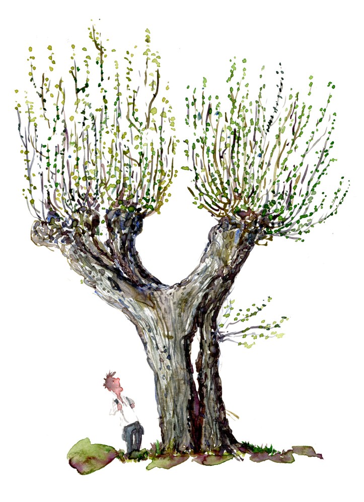 Akvarel af trae, kyststien, piletrae med vandrer